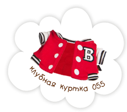 Басик в клубной кофте 055