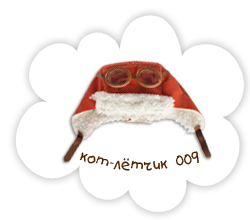 Летчик 009
